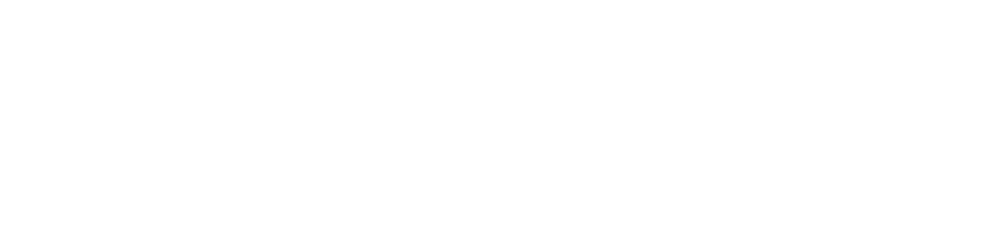 VoxGo